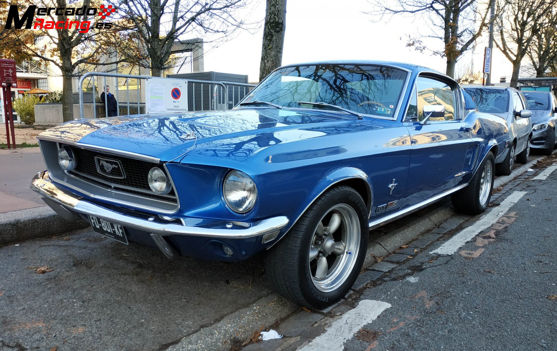 Busco ford mustang