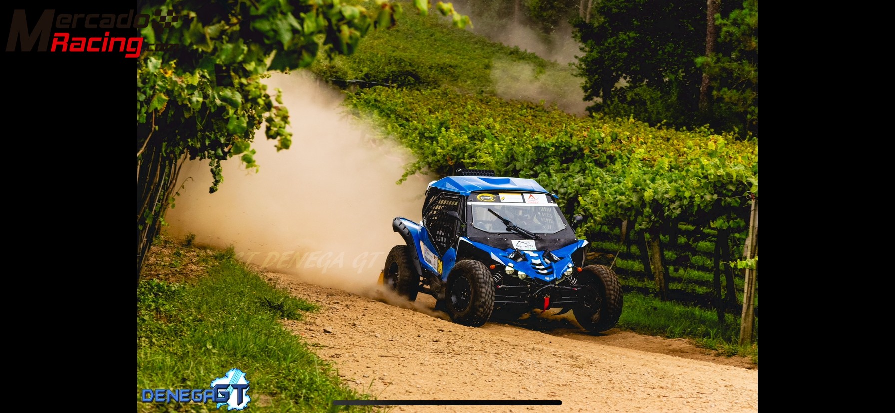 Yamaha yxz1000 r copa