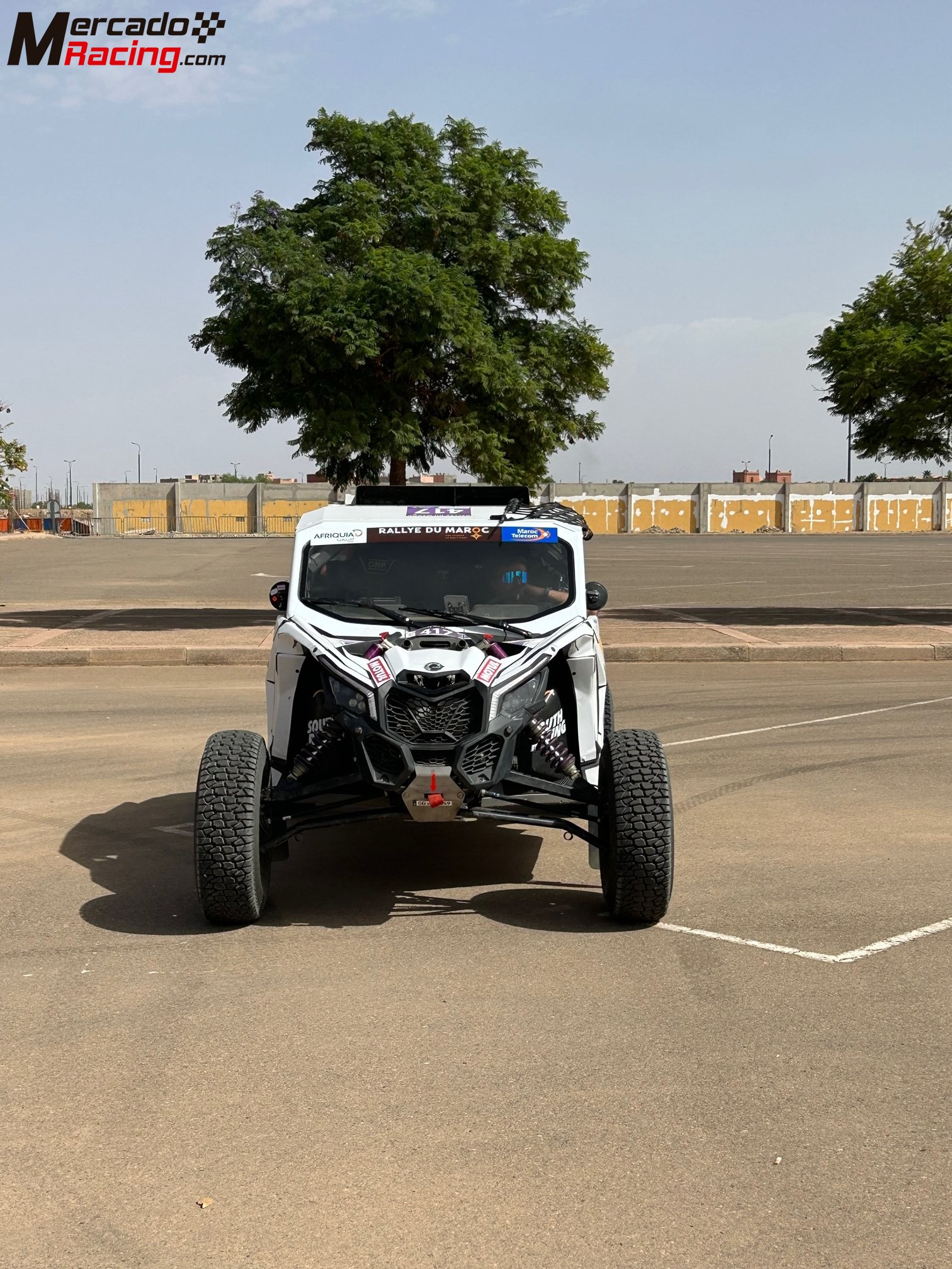 Can am  t4 south racing 