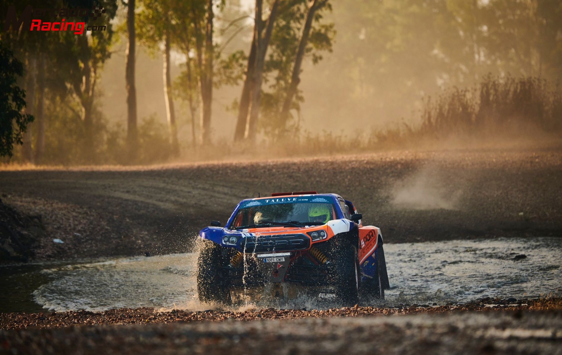 Vendo side by side gpr 20 t3