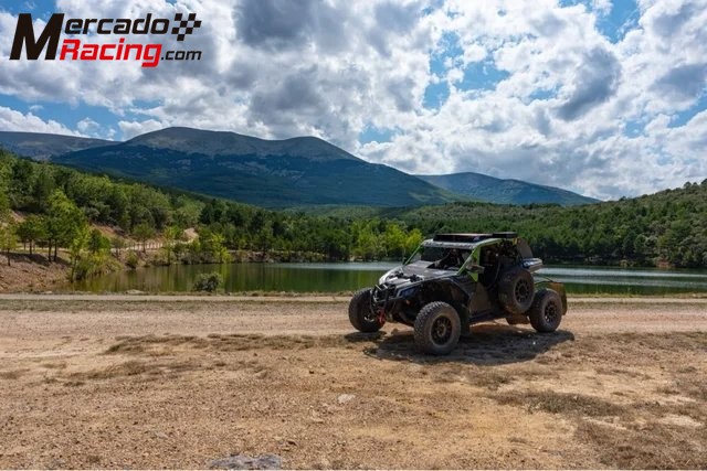 Can am maverick x3 matriculado