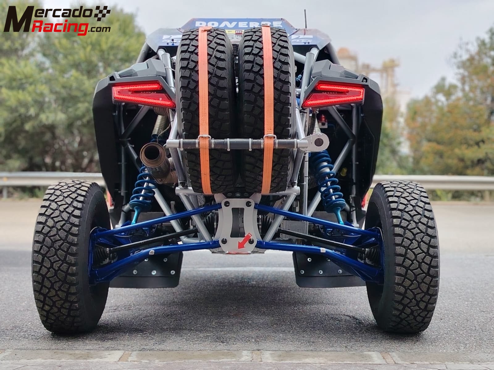 Rzr pro r(2000cc) campeon de españa (t4)