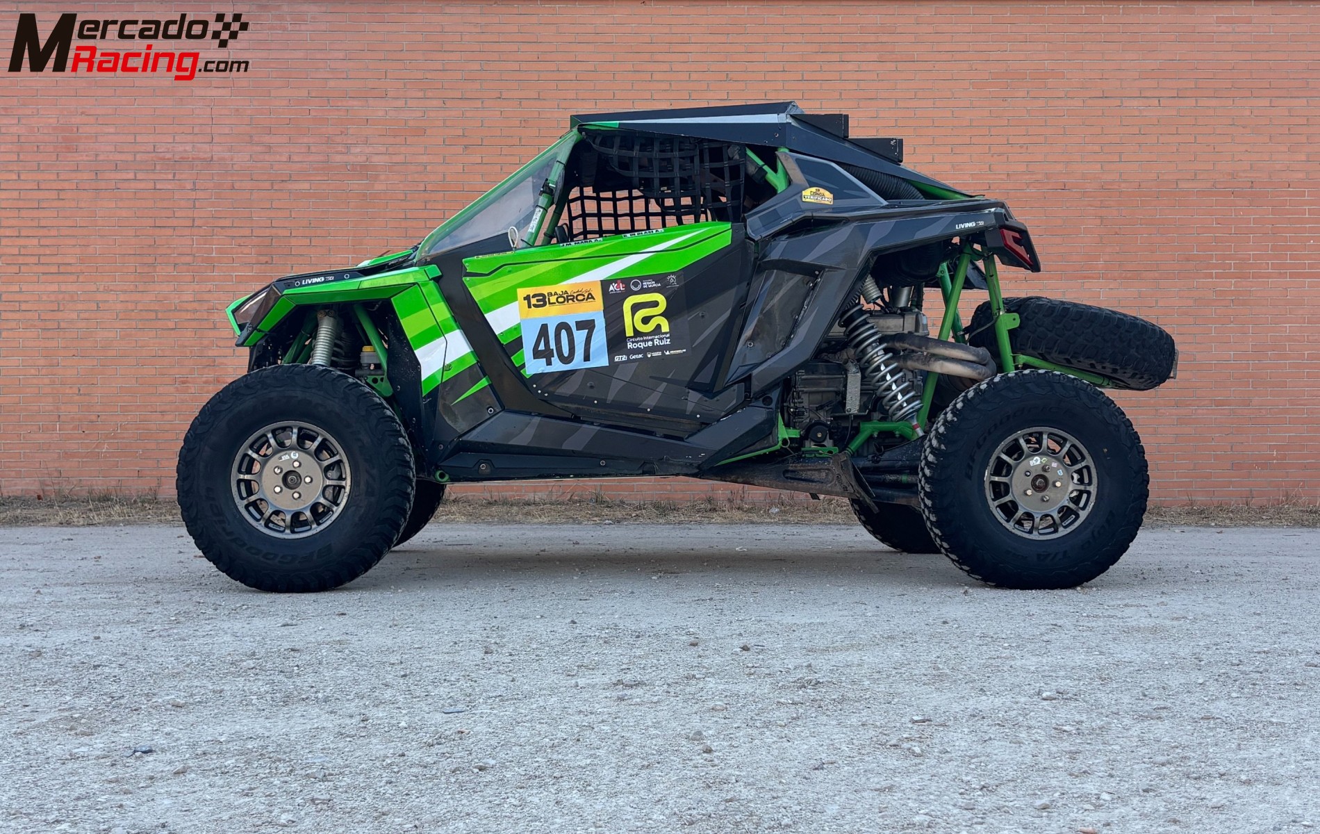 Polaris rzr pro r  (fia  t4) 