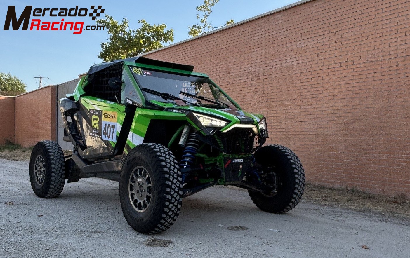 Polaris rzr pro r  (fia  t4) 