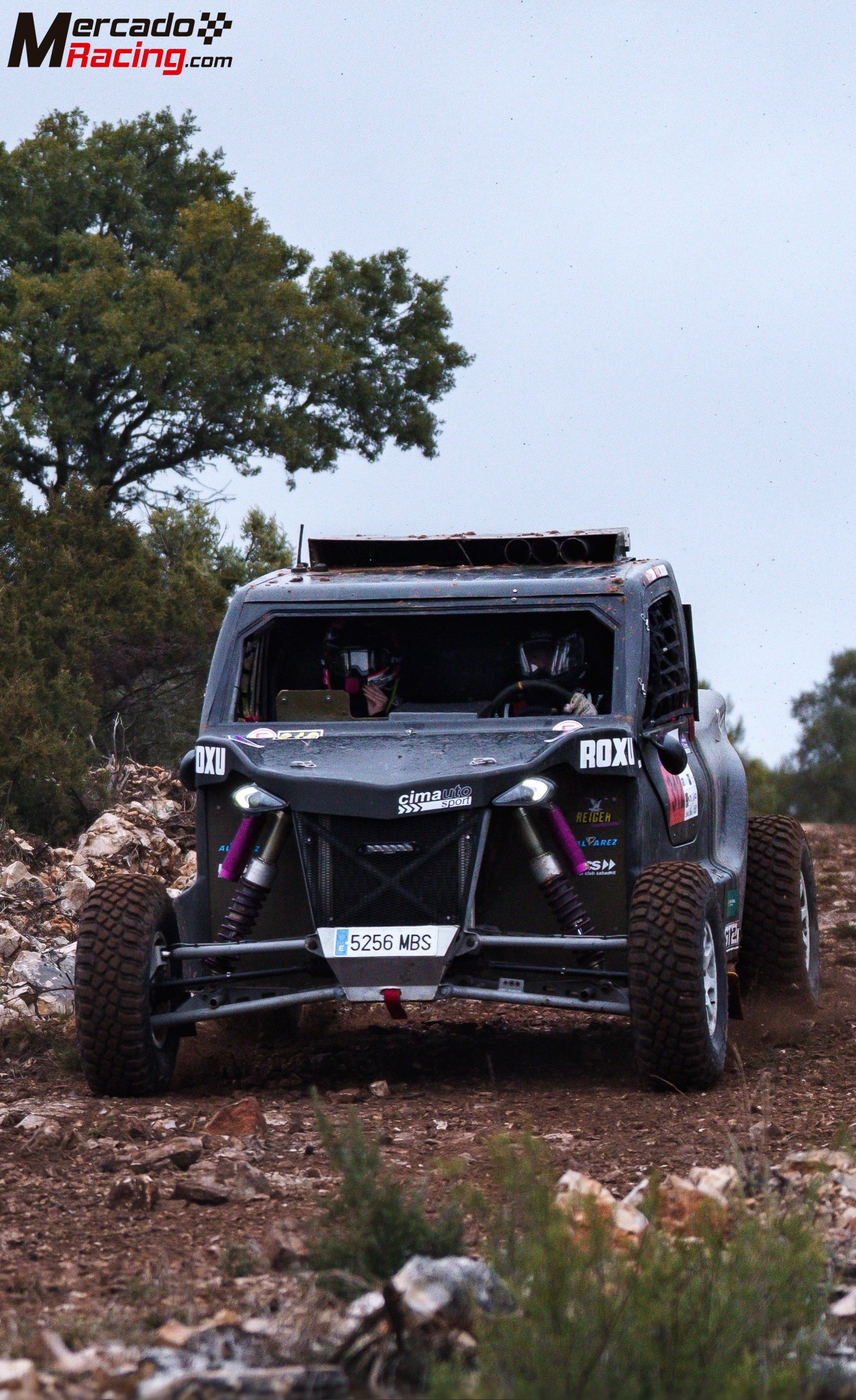 Demoncar dt3 fia challenger
