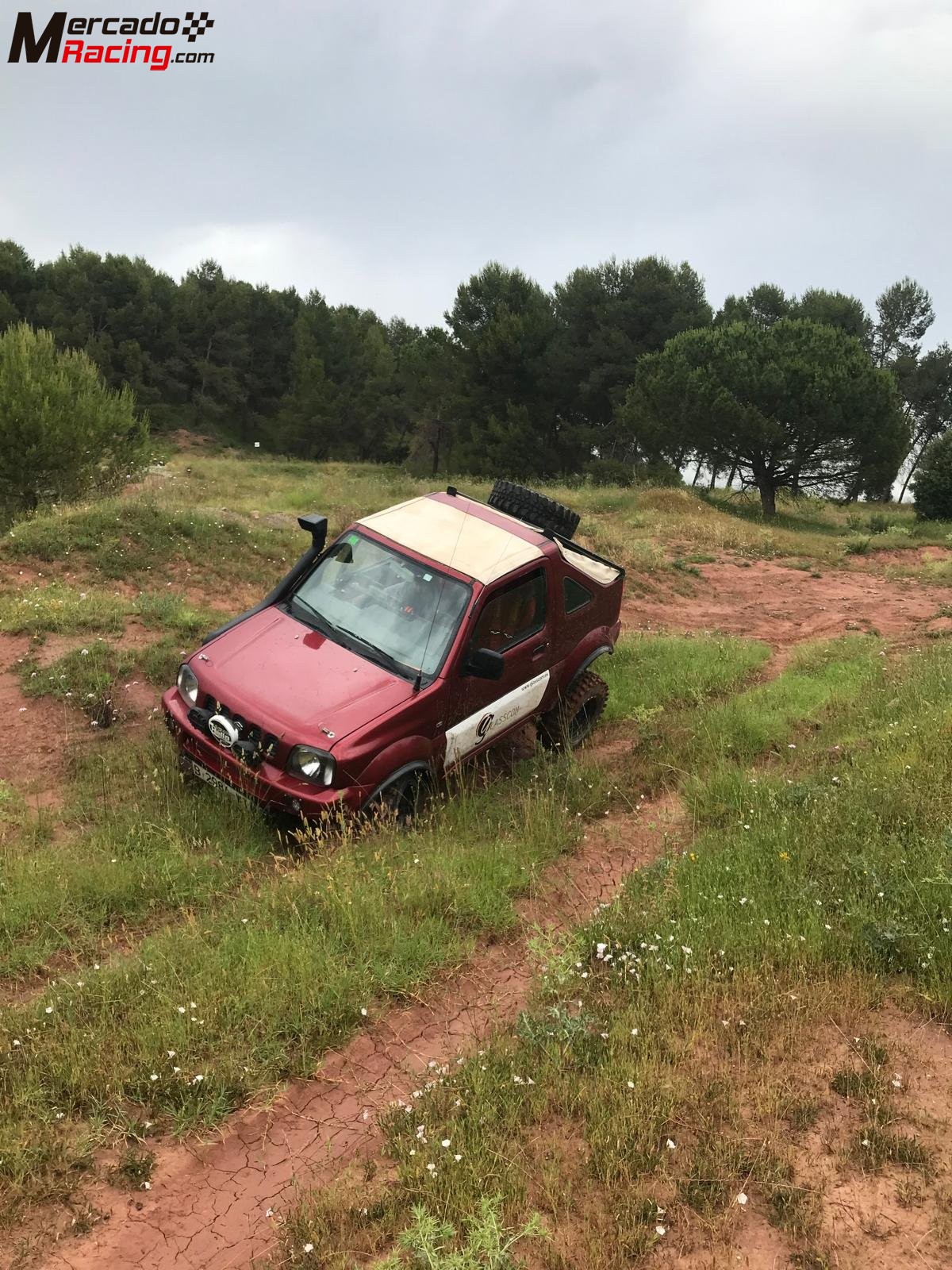 Suzuki jimny 1.6, homologacion rally