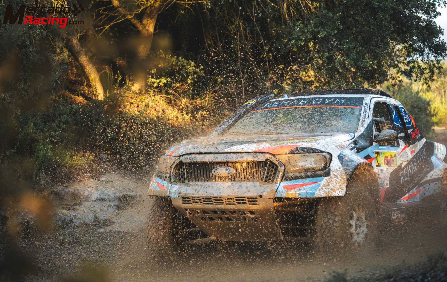 Ford ranger t1 5.0 v8 fia