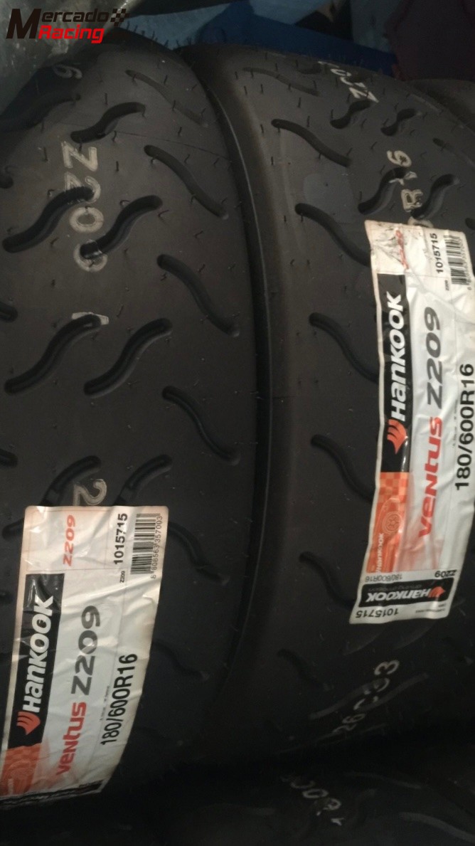 Cubiertas z209 16