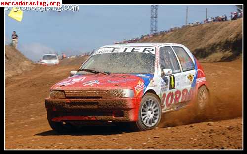106 autocross campeon gallego 2008