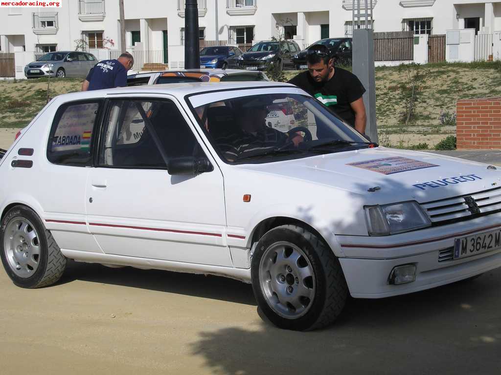 Peugeot 205 gti grupo n