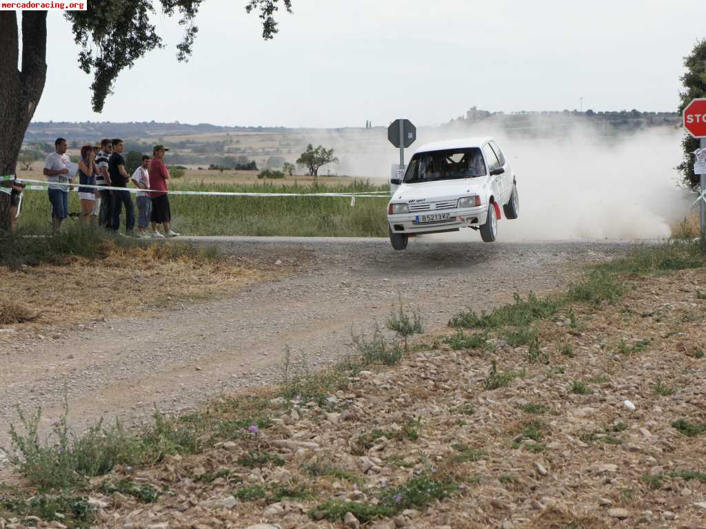 Peugeot 205 rally tierra