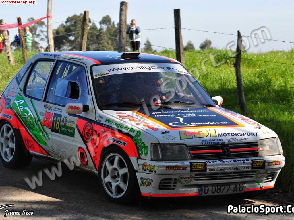 Peugeot 205 rallye gr.a