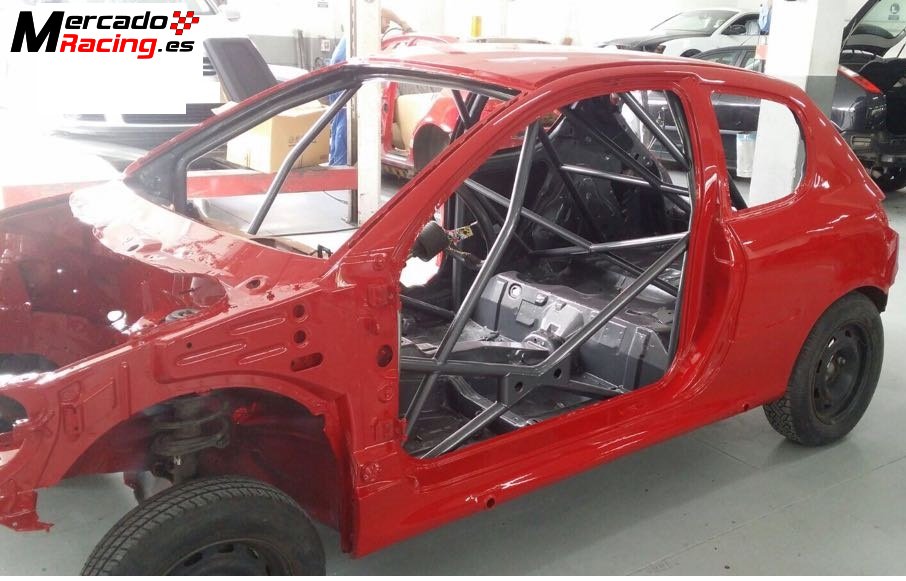 Proyecto rally peugeot 206 rc