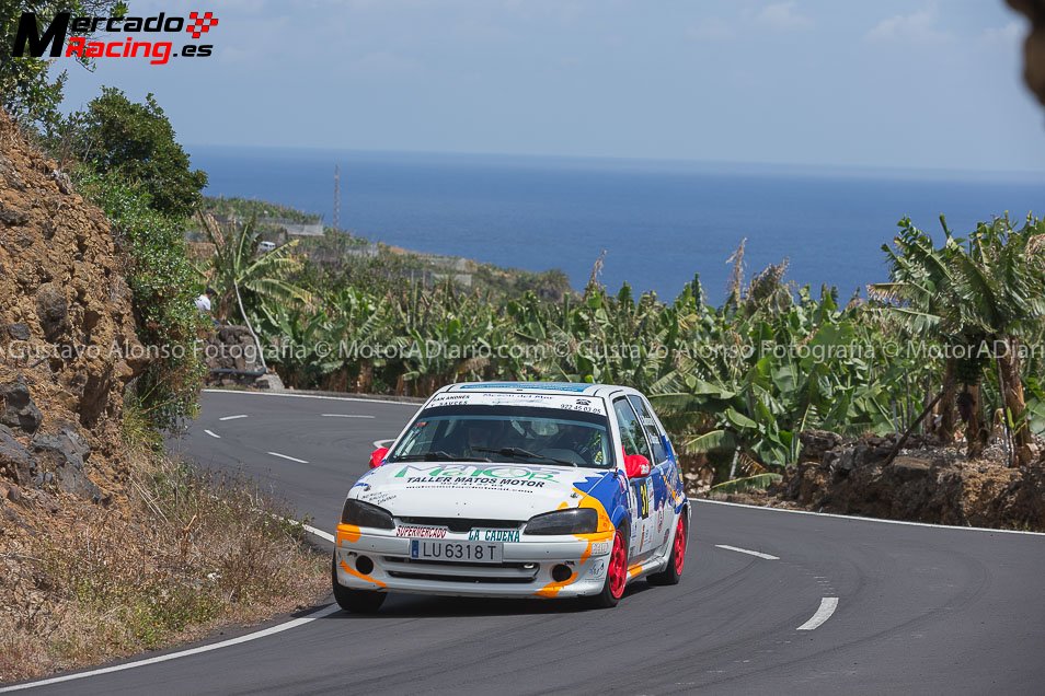 Peugeot 106 rallye grn