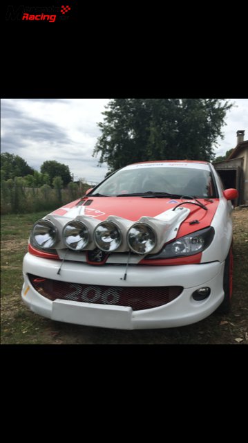 Peugeot 206 rc rally homologado frances