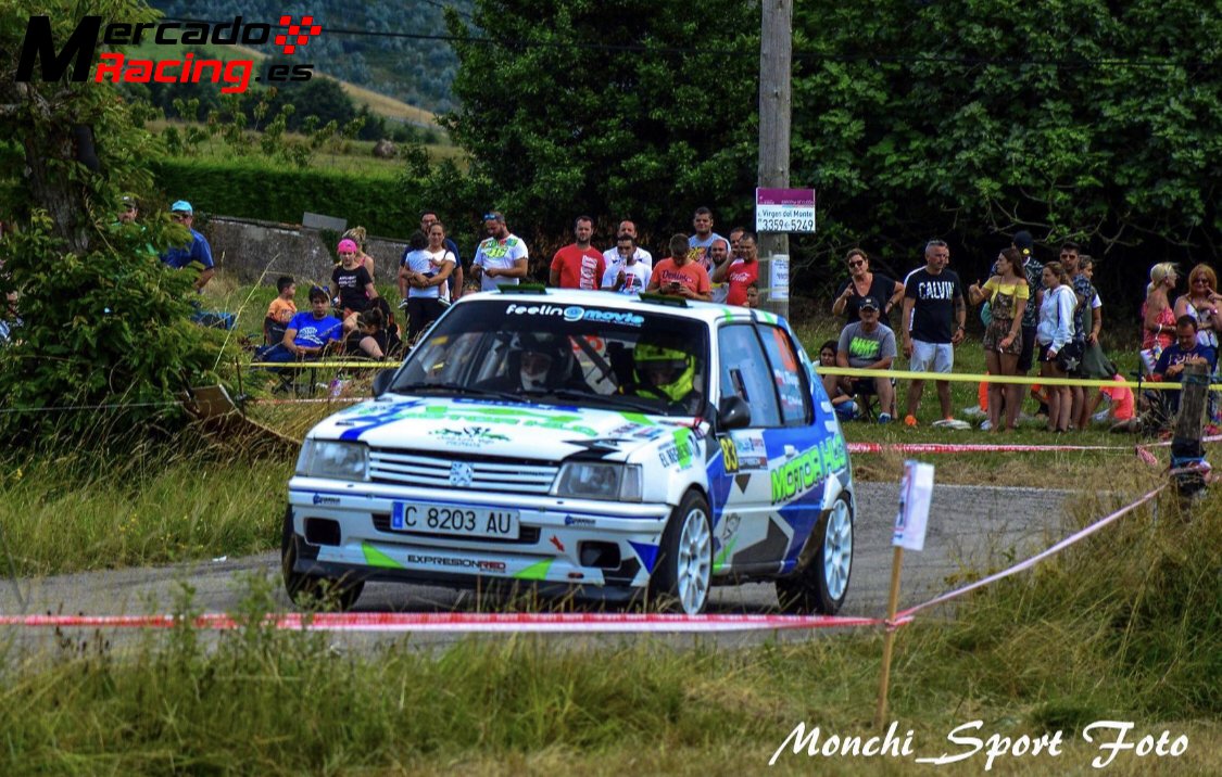 Peugeot 205 rally 1600 16v