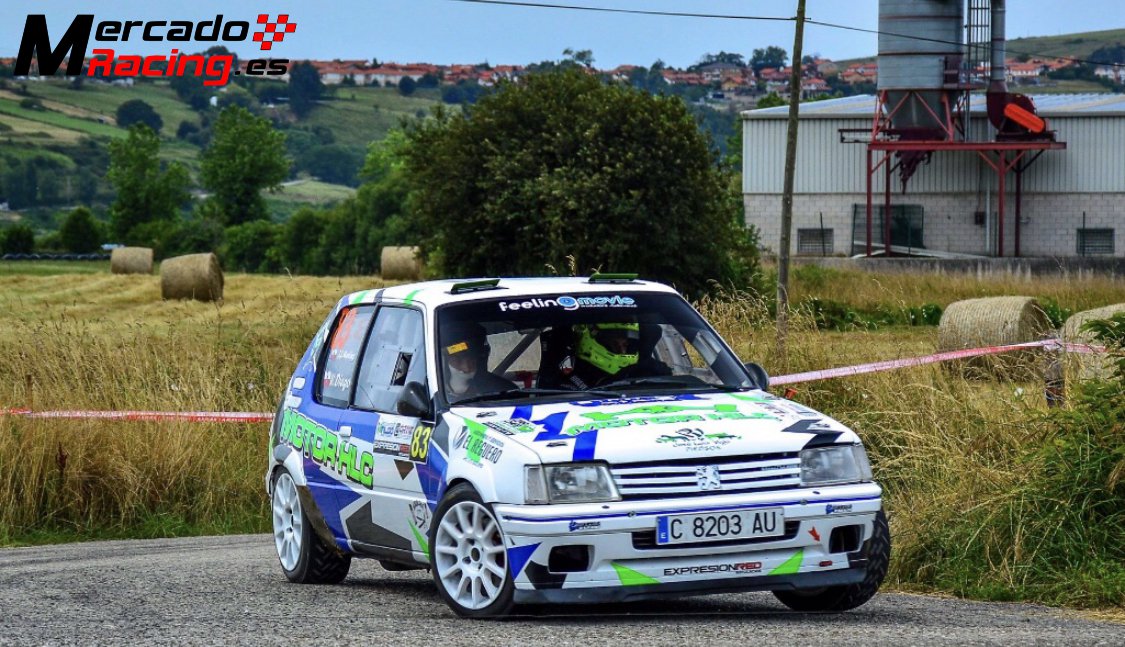 Peugeot 205 rally 1600 16v