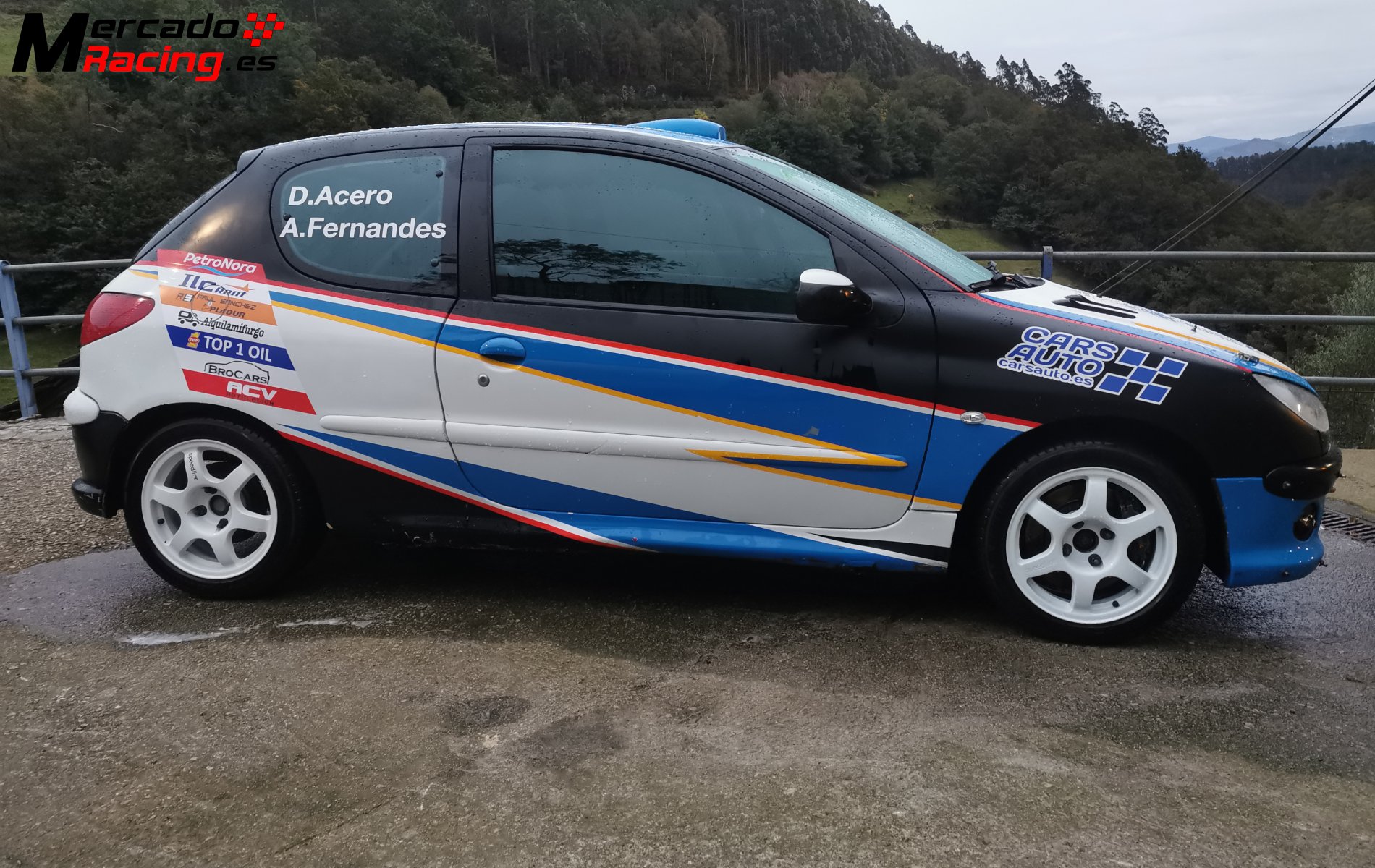 Peugeot 206 desafío nacional 