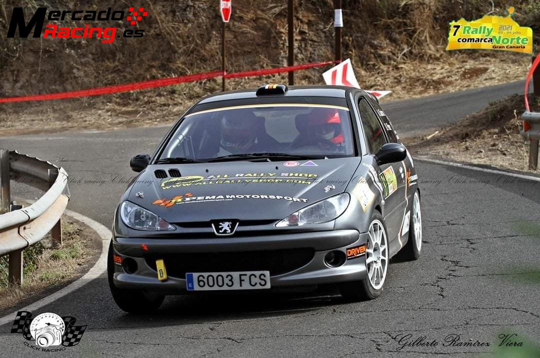 Peugeot 206 rc rallys