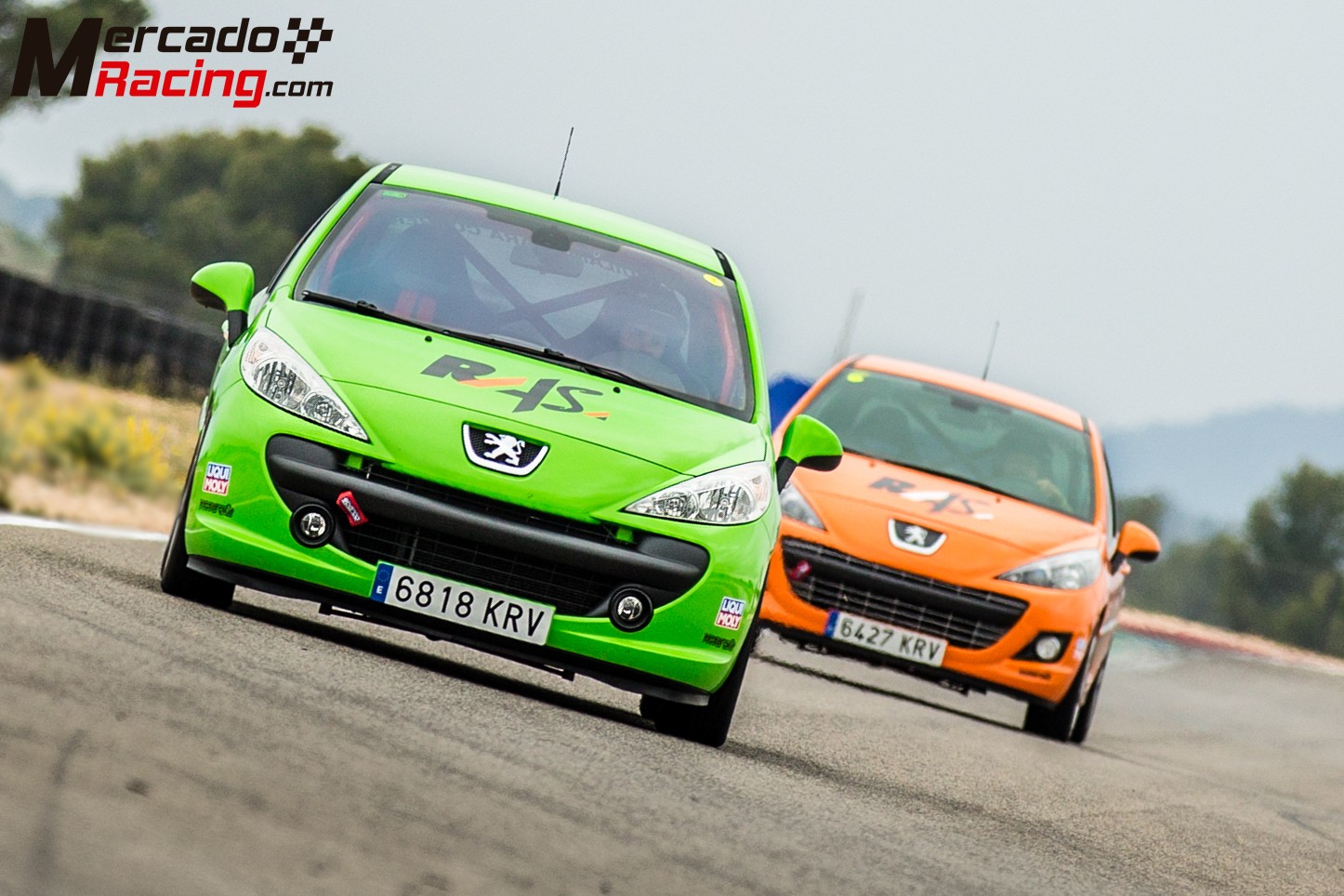 Peugeot 207 1.6 thp 230cv homologados para calle
