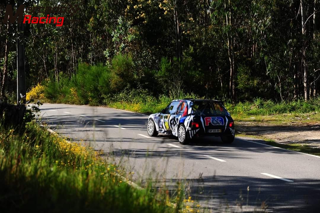 Peugeot 205 maxi f2000/13
