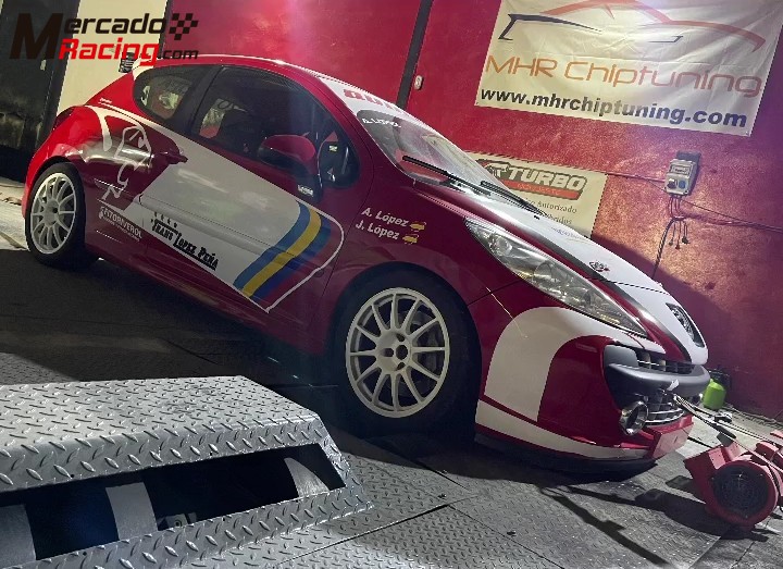 Peugeot 207 copa thp