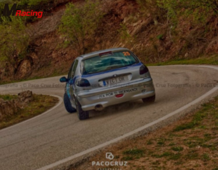 Peugeot 206 gti rally