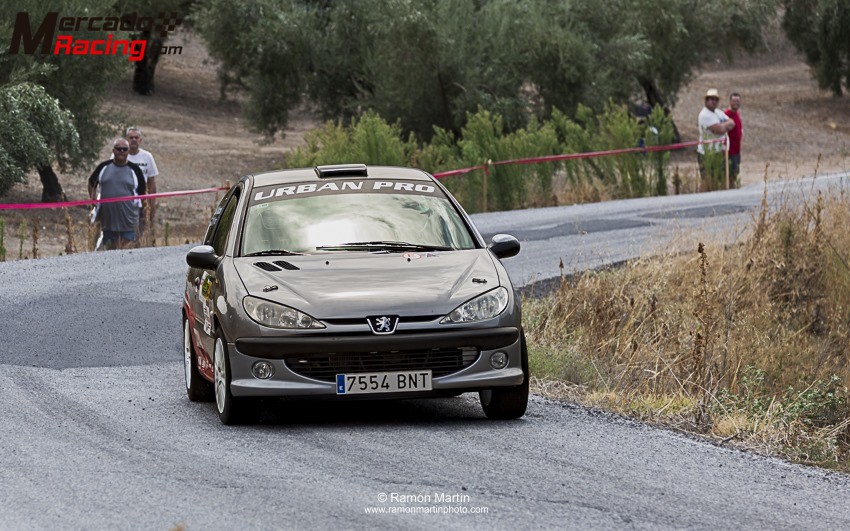Peugeot 206 xs tipo desafio, con documentación de rallys