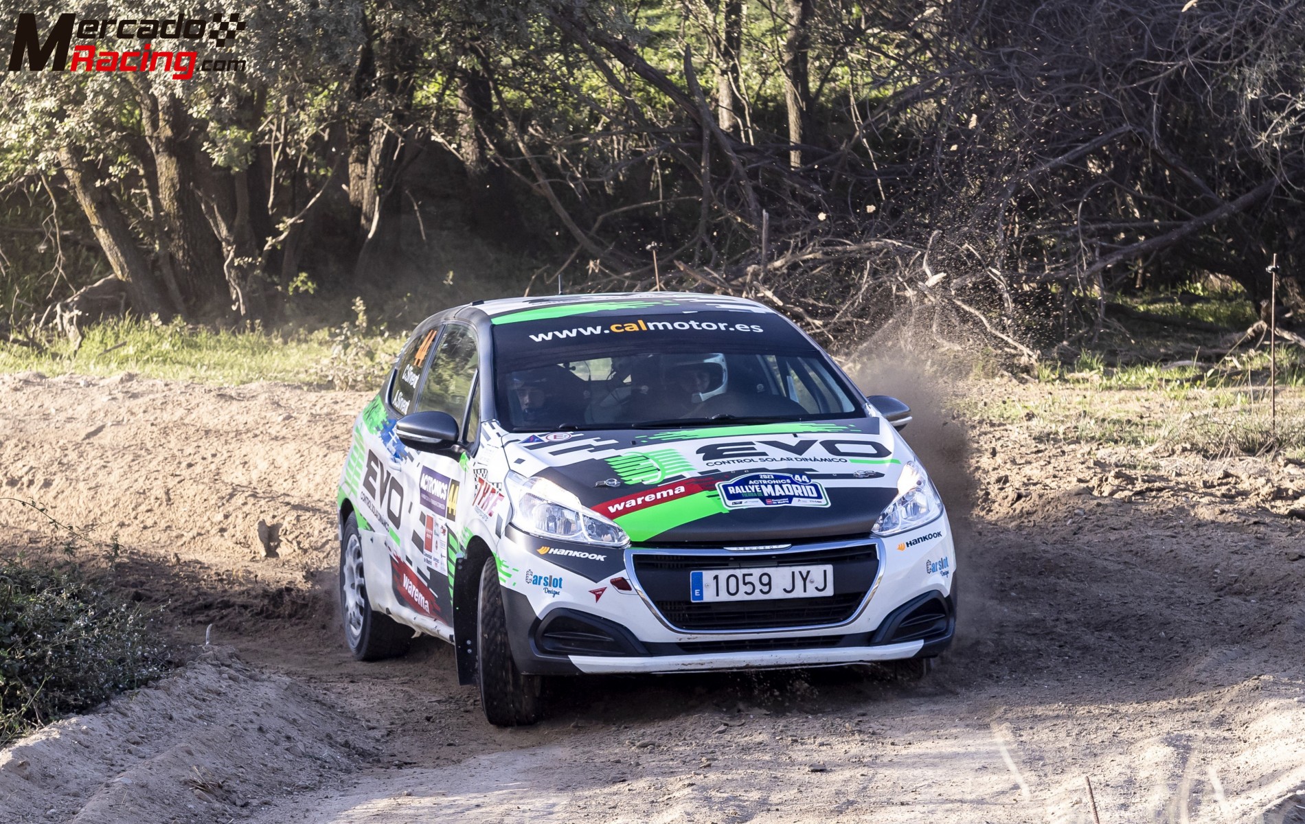 Peugeot 208 n3 rally