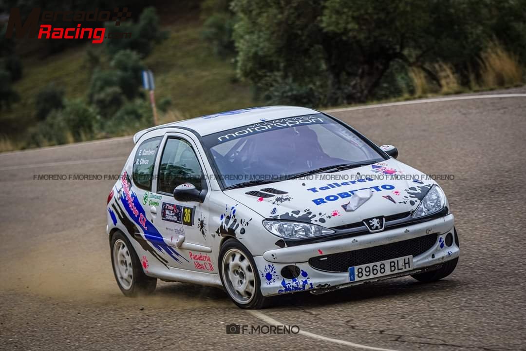 Peugeot 206 xs