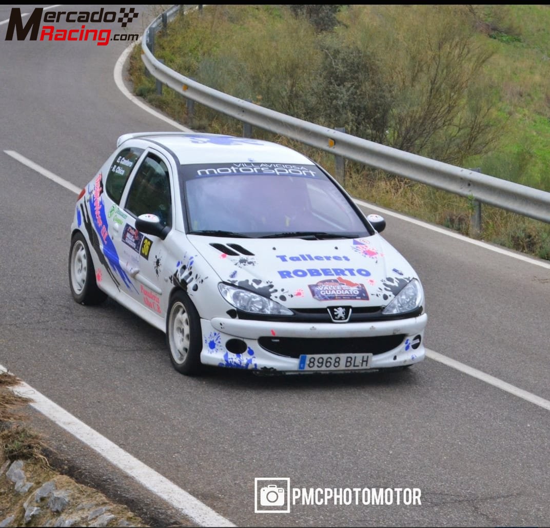 Peugeot 206 xs