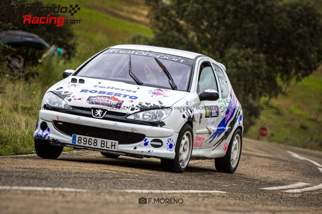 Peugeot 206 xs