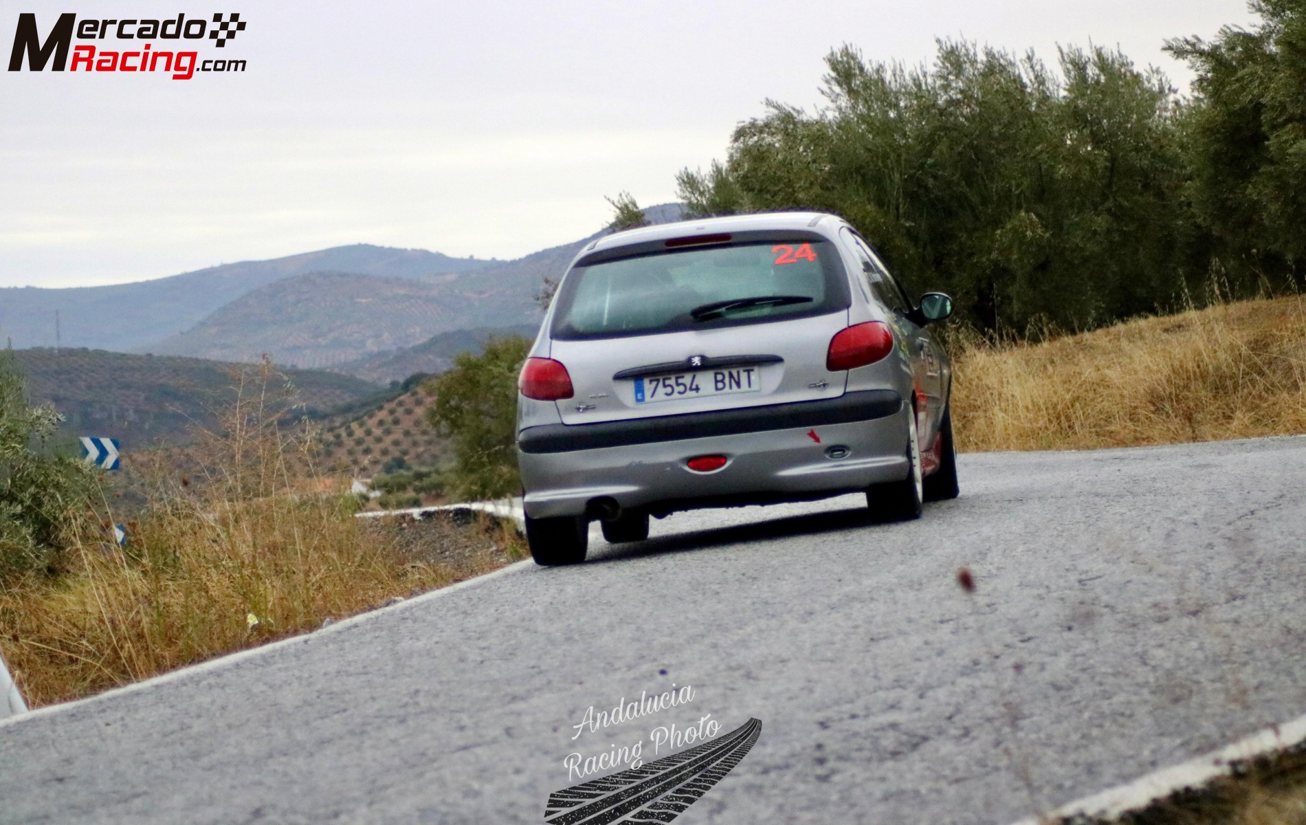 Peugeot 206 xs