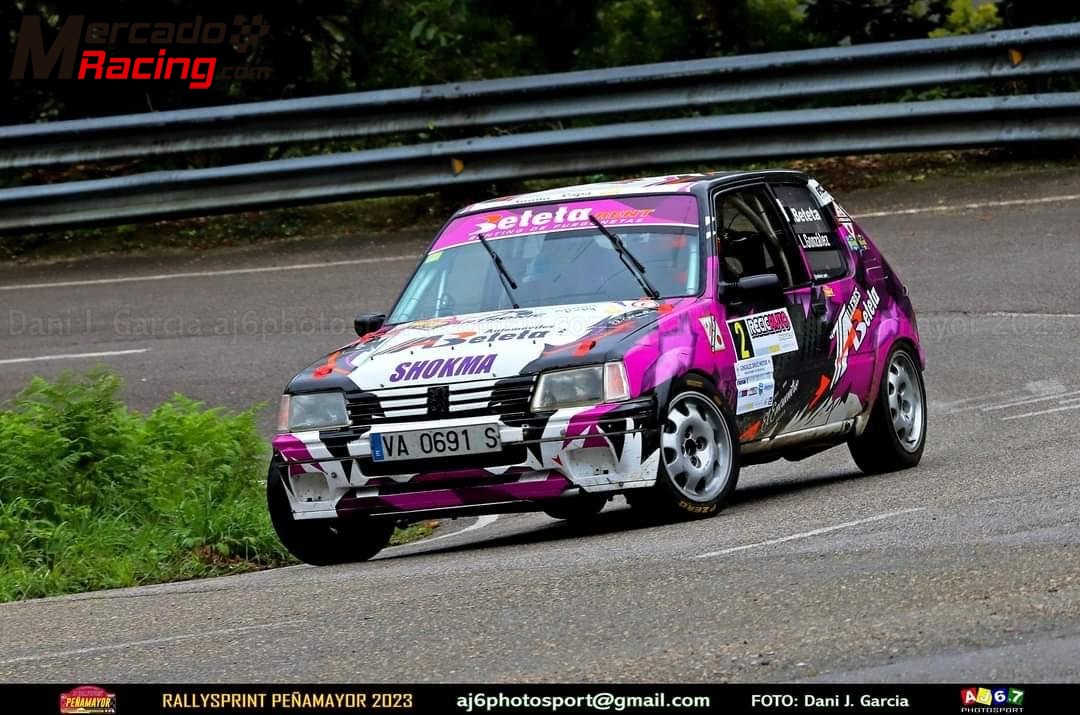 Peugeot 205 rally tope grupo x 