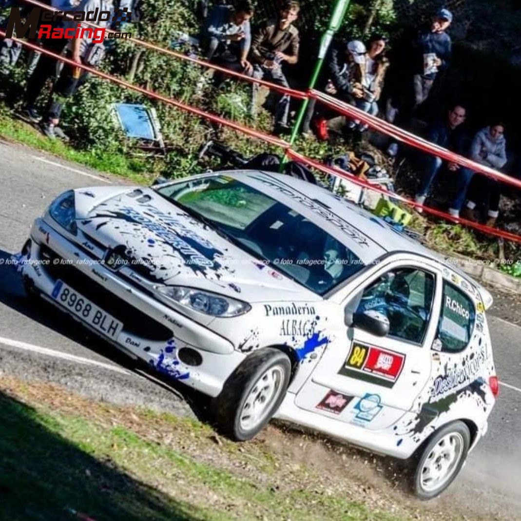 Peugeot 206 xs rally