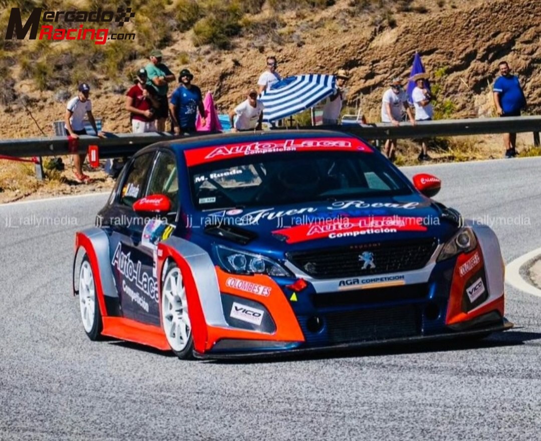 Vendo  peugeot 308tcr  montaña, circuito tcr f.ia