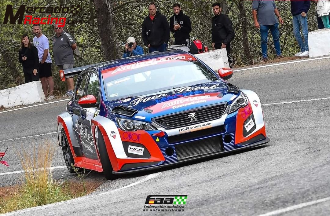 Vendo  peugeot 308tcr  montaña, circuito tcr f.ia