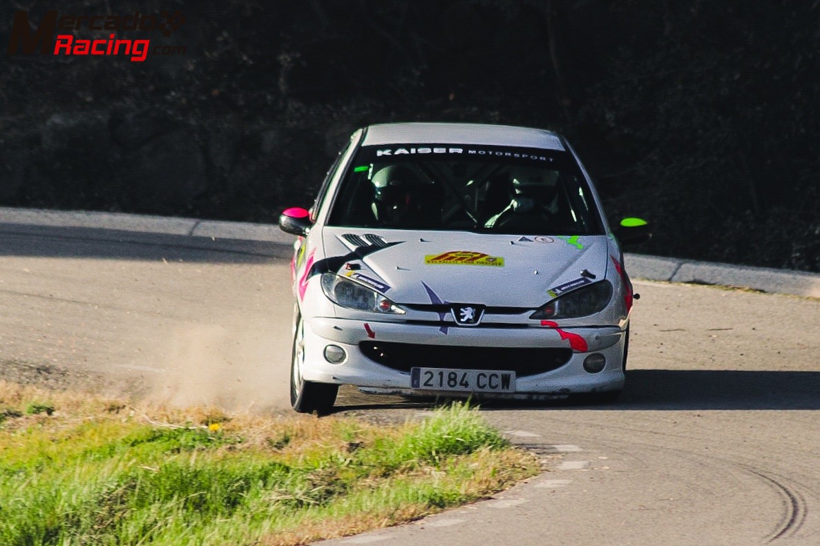 Peugeot 206 gr.n subcampeón de cataluña 