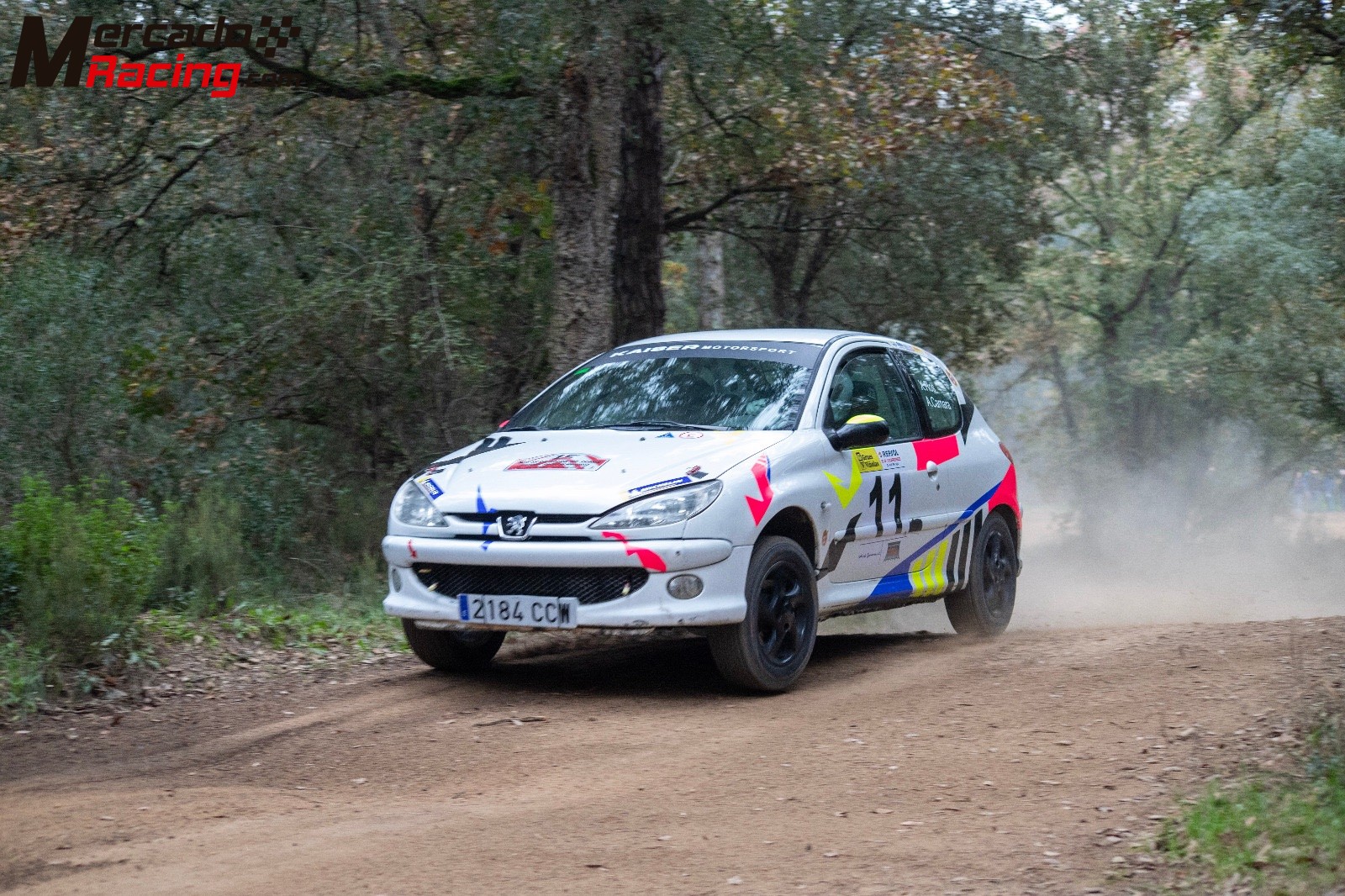 Peugeot 206 gr.n subcampeón de cataluña 