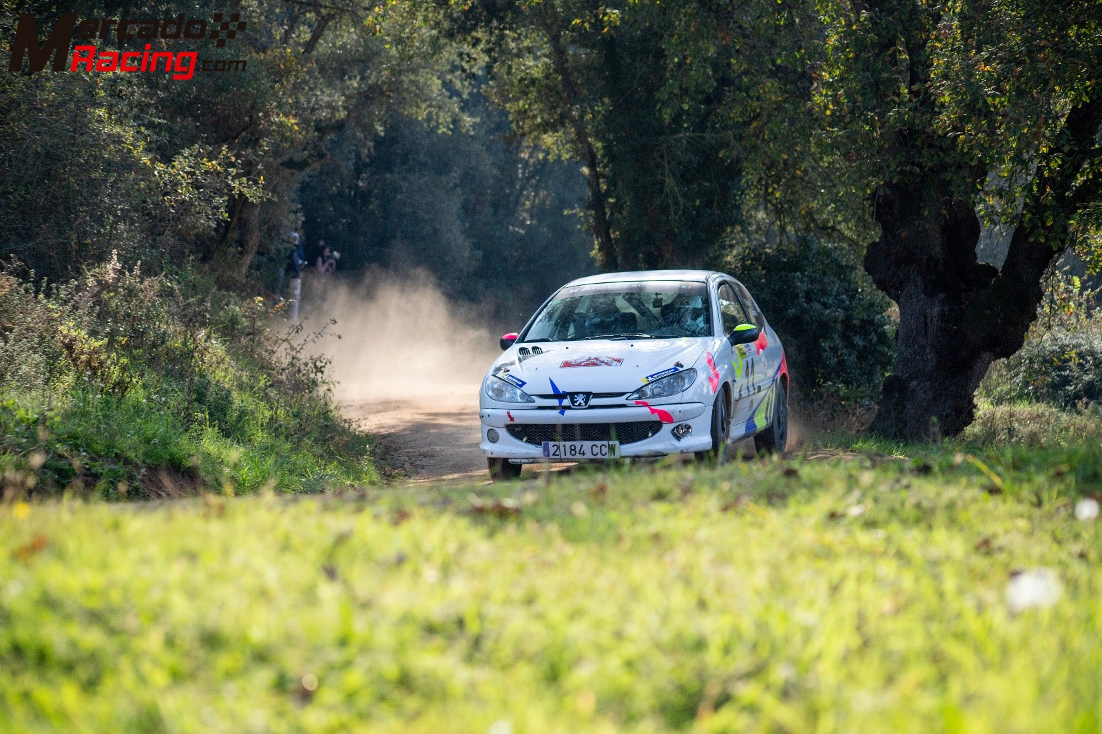 Peugeot 206 gr.n subcampeón de cataluña 