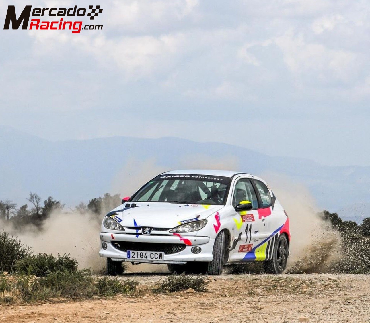 Peugeot 206 gr.n subcampeón de cataluña 