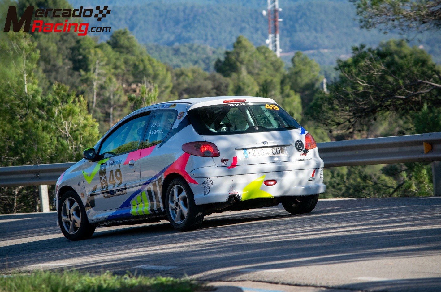 Peugeot 206 gr.n subcampeón de cataluña 