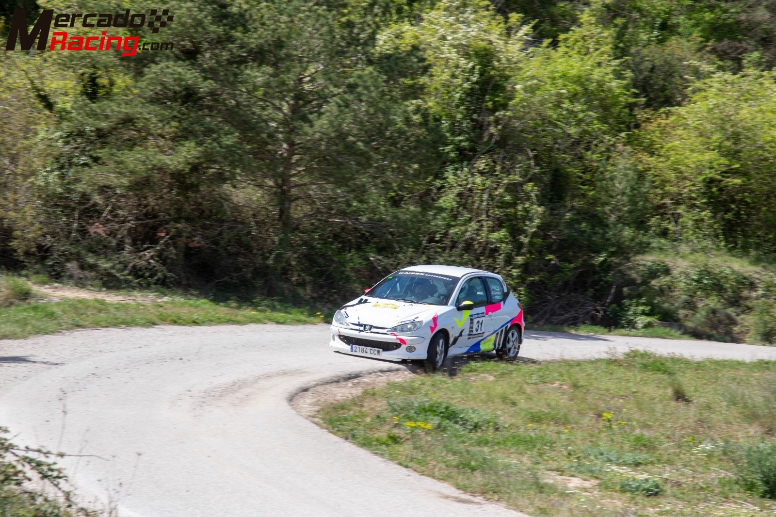 Peugeot 206 gr.n subcampeón de cataluña 