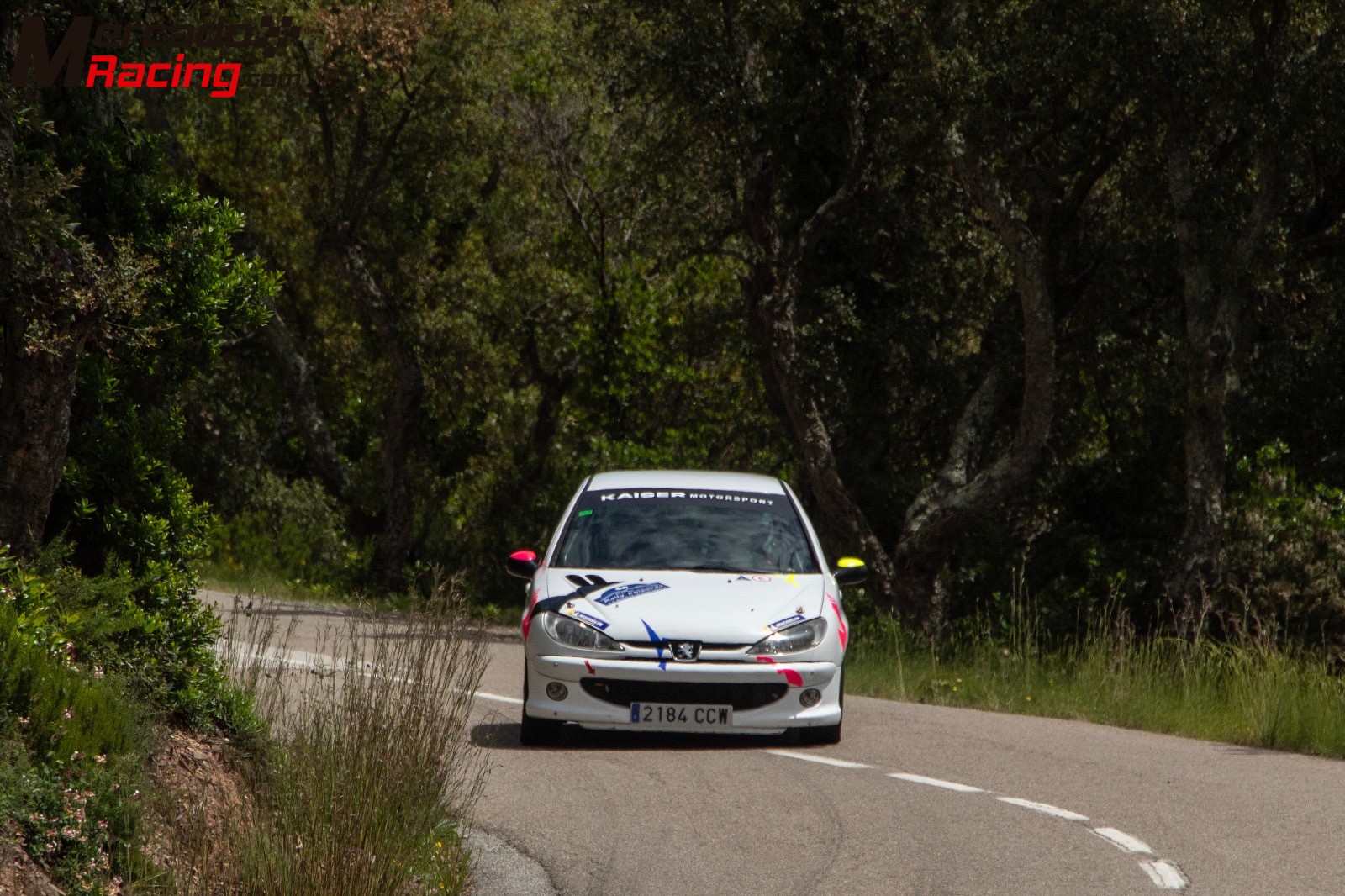 Peugeot 206 gr.n subcampeón de cataluña 