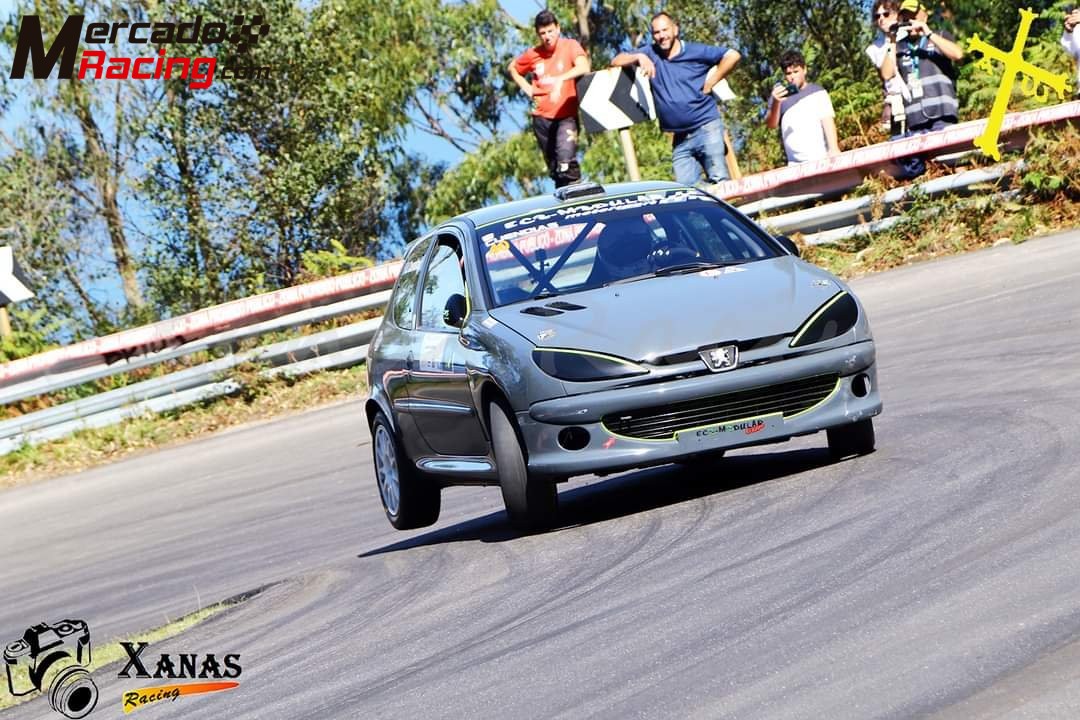 Peugeot 206 rc 