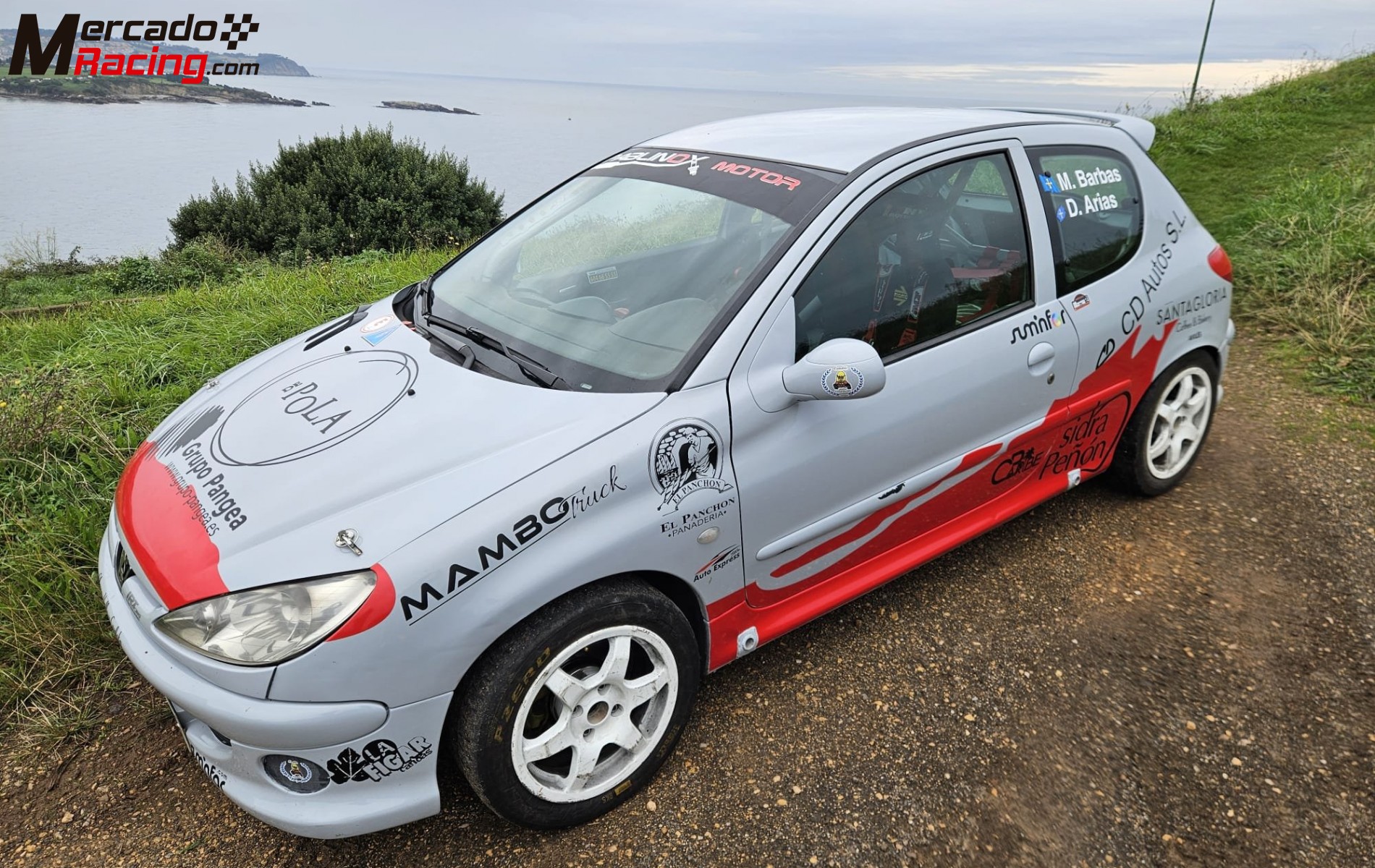 Peugeot 206 xs