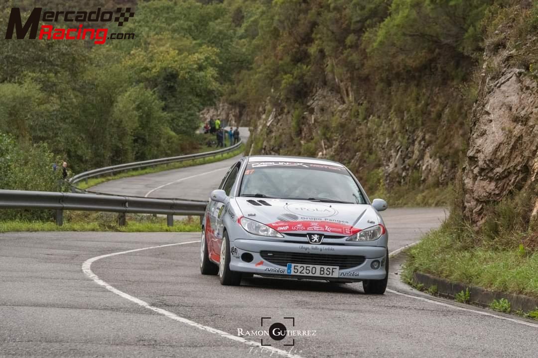 Peugeot 206 xs