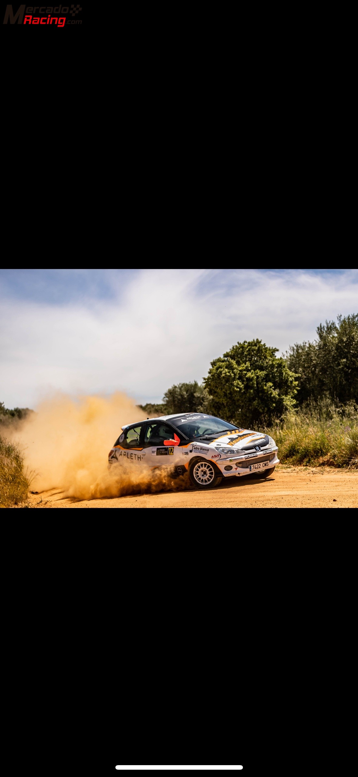 Peugeot 206 rc rallye