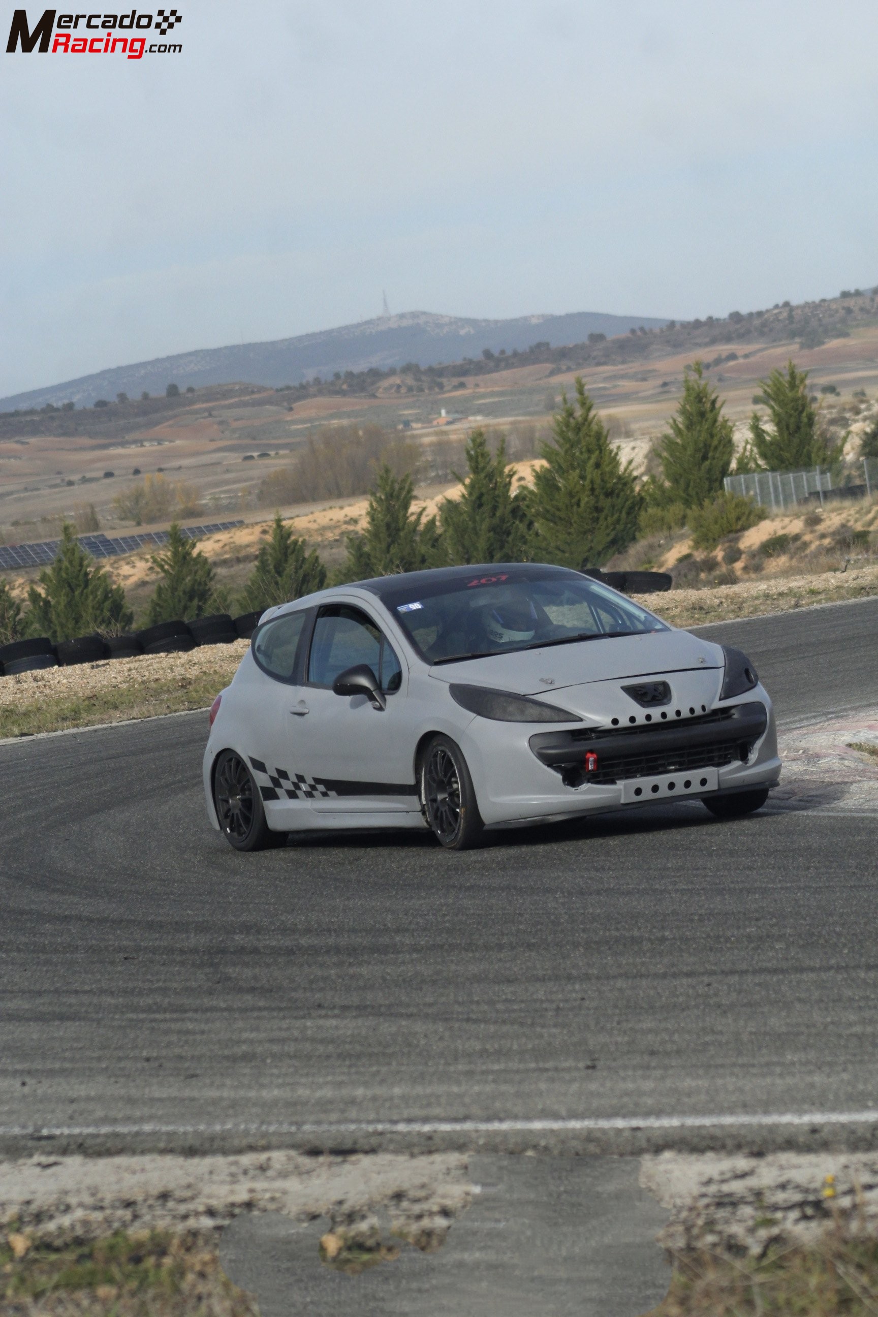 Peugeot 207 cup