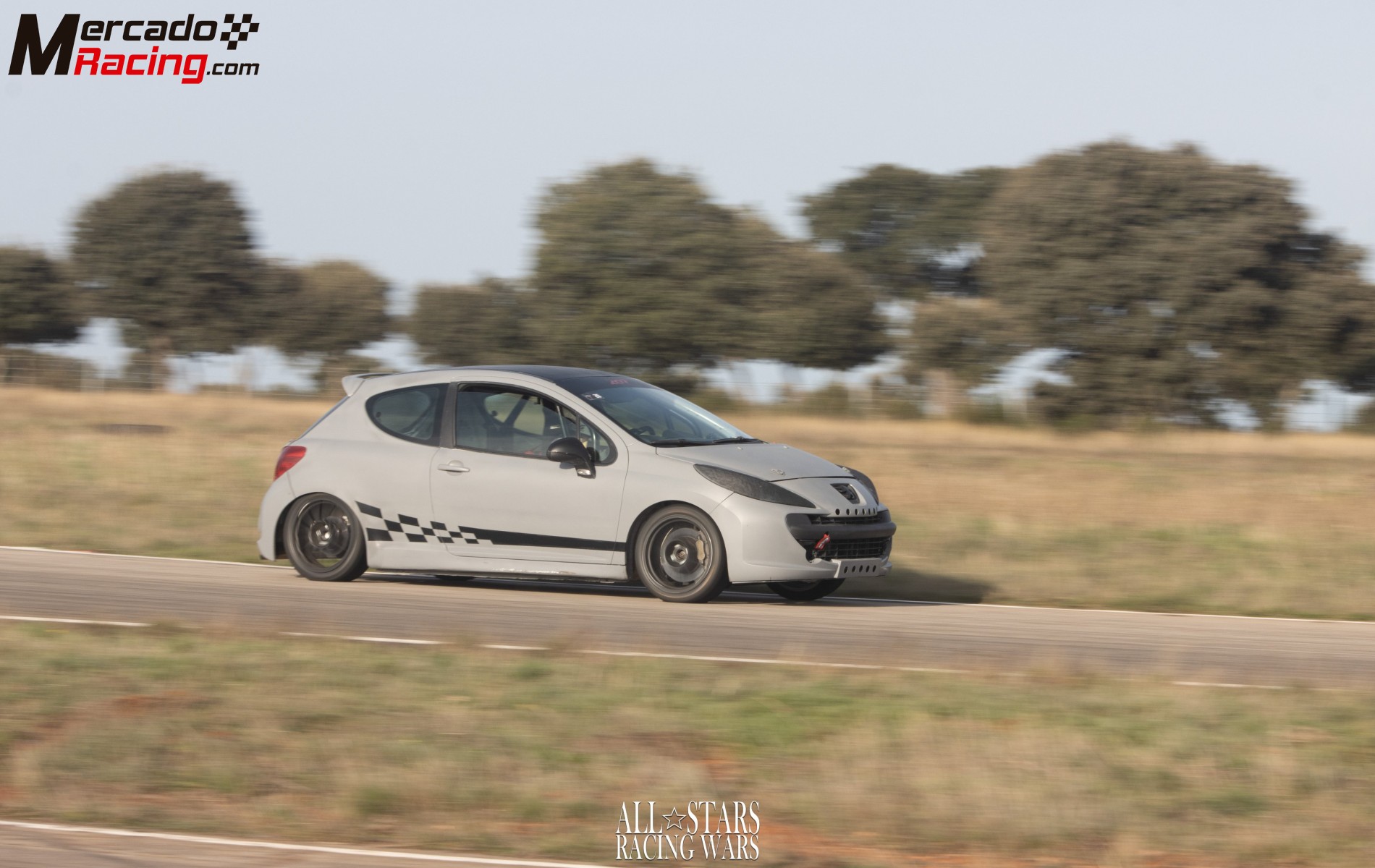 Peugeot 207 cup